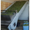 Máquina de secado de cáñamo de hierbas